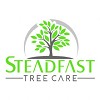 Steadfast Tree Care Fredericksburg